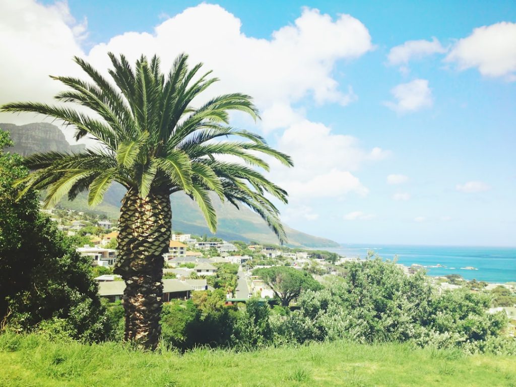 découvrez tout sur l'élévation de maison : conseils, techniques et inspirations pour améliorer l'aspect extérieur et la valeur de votre habitation.