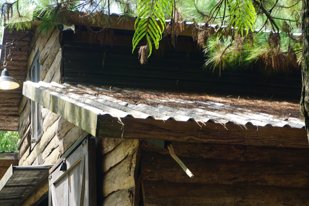 découvrez l'eco-insulation, une solution écologique et performante pour isoler votre maison tout en respectant l'environnement. économisez de l'énergie et améliorez votre confort grâce à des matériaux durables.